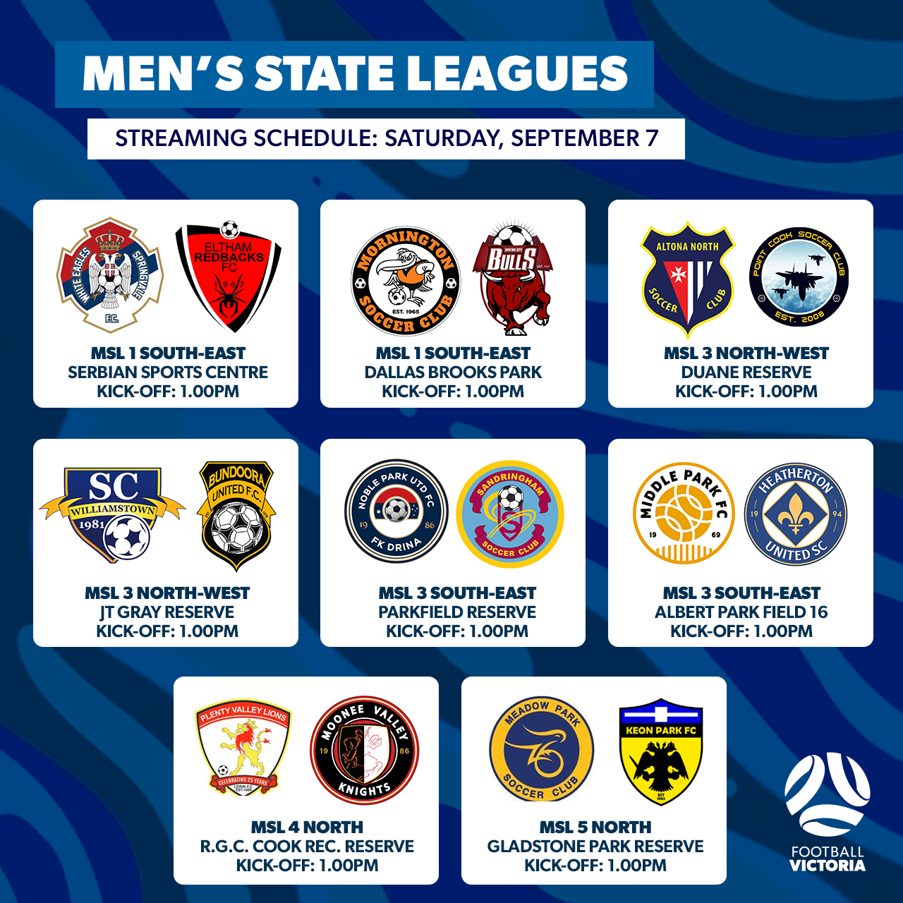 mens state league fixtures