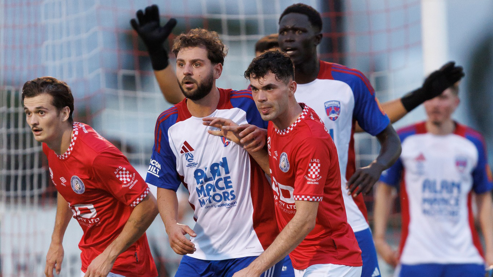 Knights vs Sharks 2025