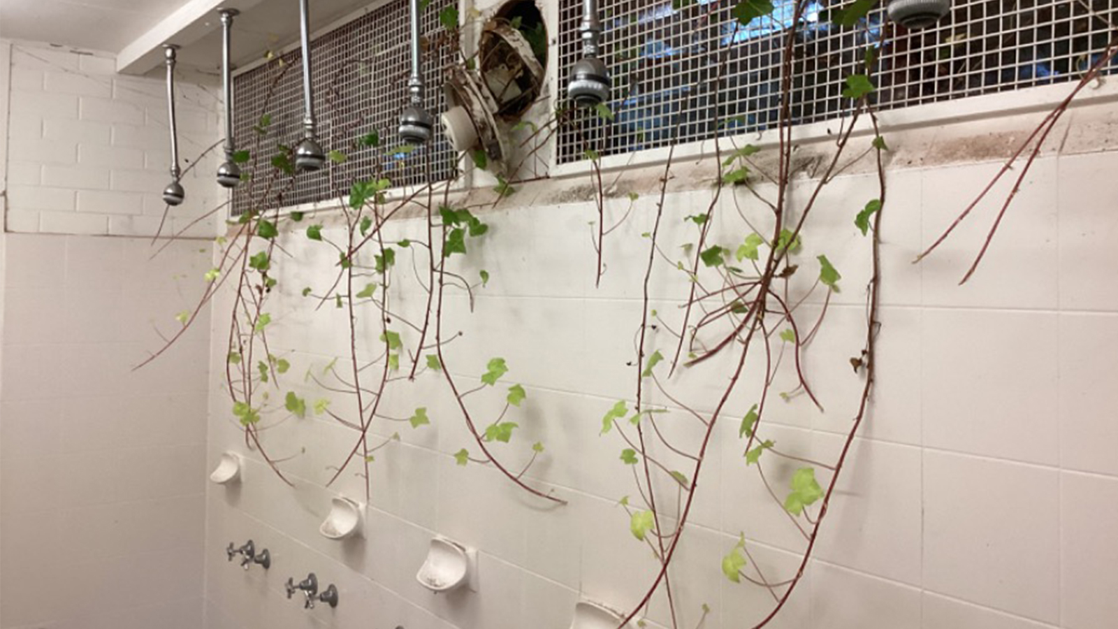 Yallambie Park change rooms