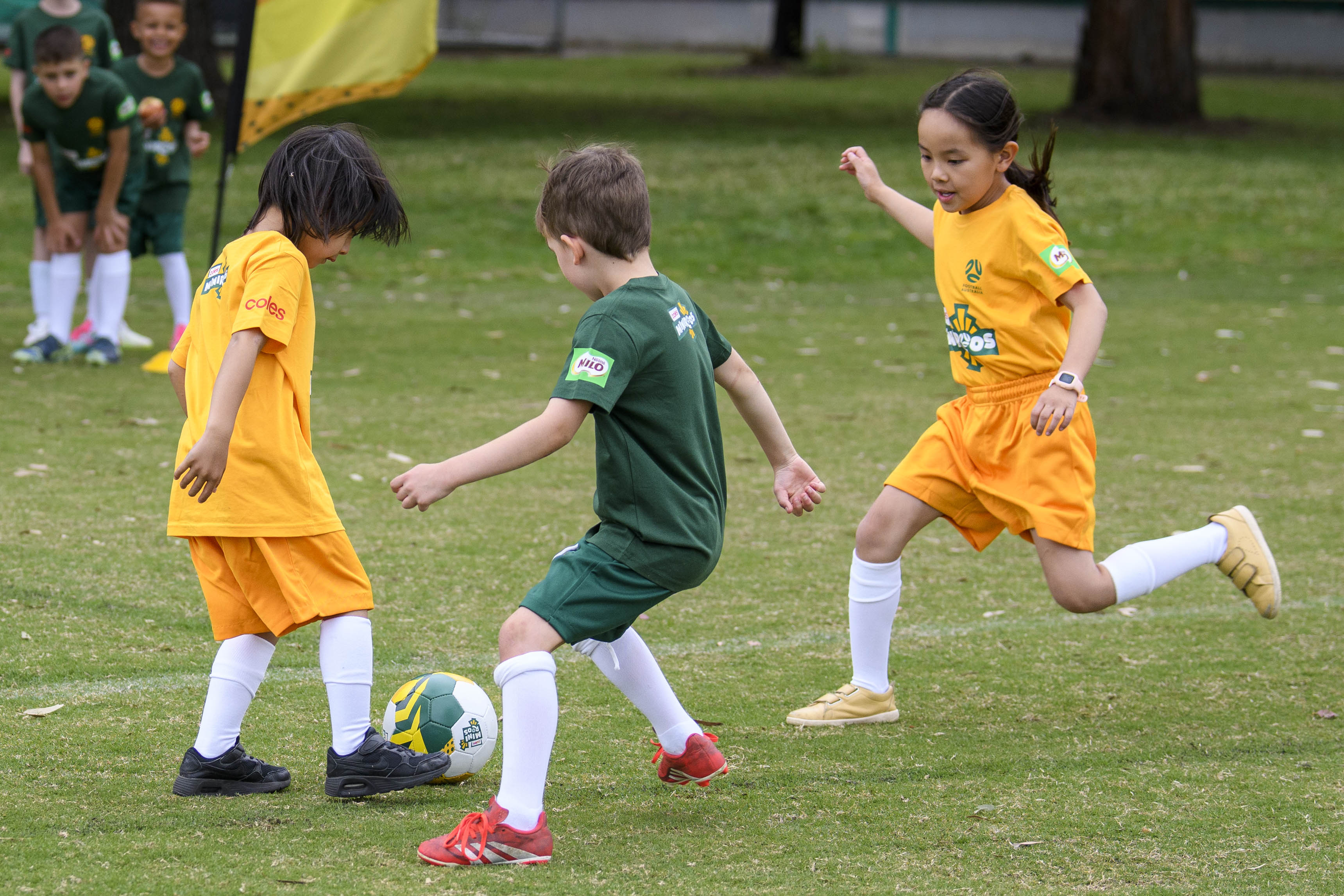 Coles MiniRoos kids playing