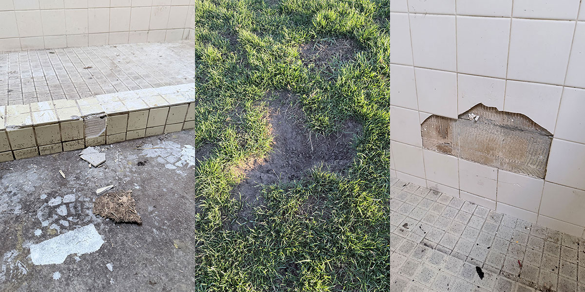 Darebin Apollo Facilities