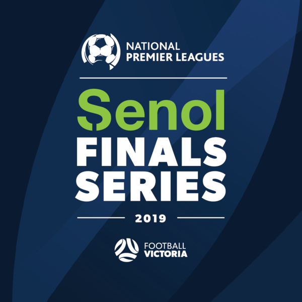 Senol Partners NPL
