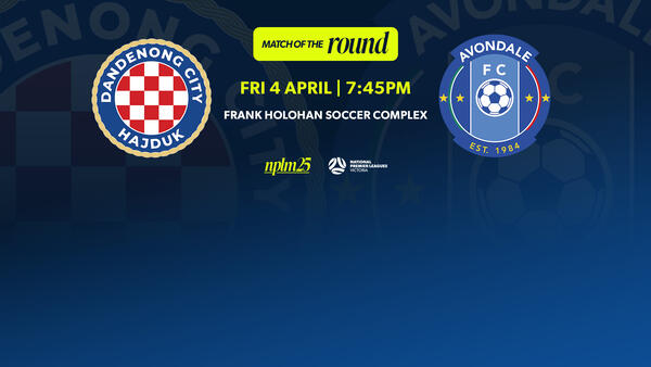 dandenong city v avondale