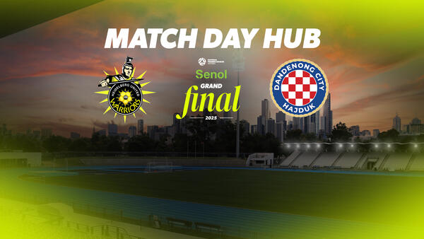nplm match day hub