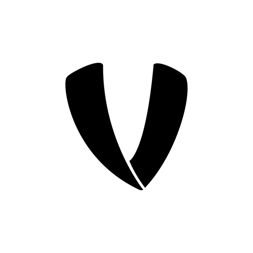 Veto Sports Logo Black V