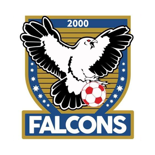 Falcons 2000 Soccer Club
