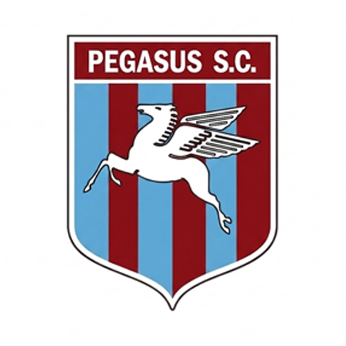 Morwell Pegasus Soccer Club