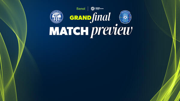 match preview nplm gf