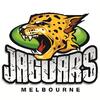 Jaguars