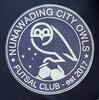 NunawadingCityOwls