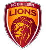 bulleen lions logo